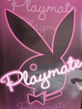 playmate